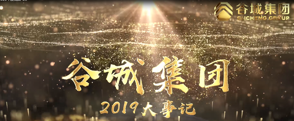 尊龙凯时2020年回顾